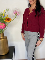 Cardigan Vest